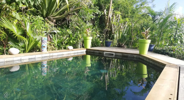 Vanille Lodge, Book Hotel Hoteller i Le Marin med pool, Swimmingpool