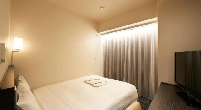 Двухместный номер Отель Sotetsu Fresa Inn Ochanomizu Jimbocho