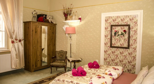 Двухместный люкс с видом на горы Trubarjev Art Boutique hotel