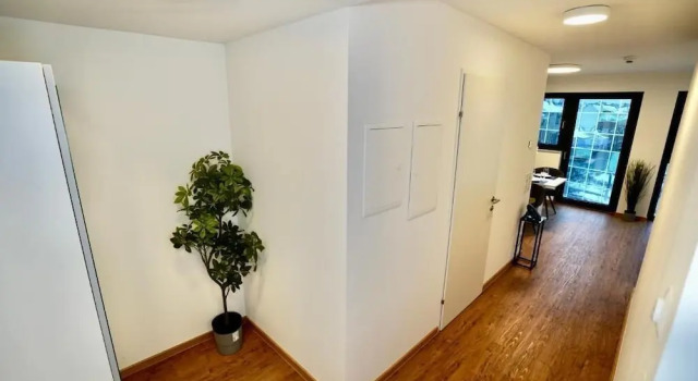 Номер Economy DM & S Apartment