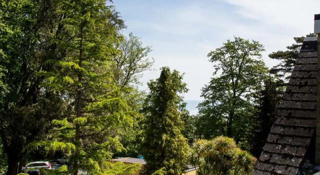 Standard cameră Orestone Manor Hotel
