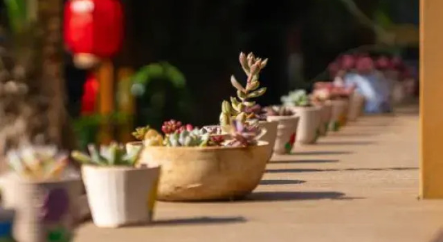 Lijiang Chanqi Holiday Courtyard Inn