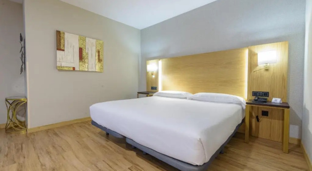 Двухместный номер Superior Hotel Zentral Mayoral
