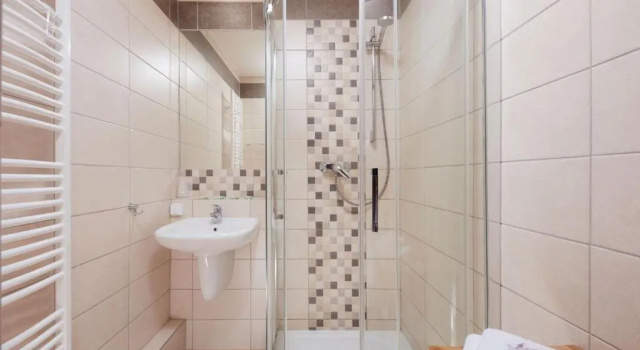 Четырёхместный номер Standard ProFamily Hotel TOP Benecko