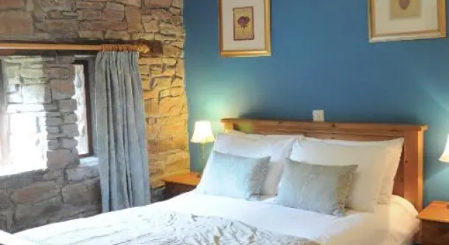 Номер Standard Black Mountain Lodge