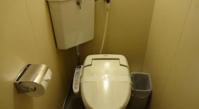 Номер Standard Hotel Kurobe