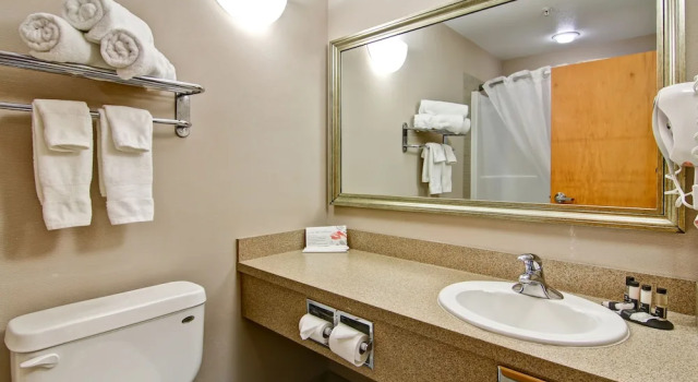 Двухместный люкс Canalta Hotel Oyen