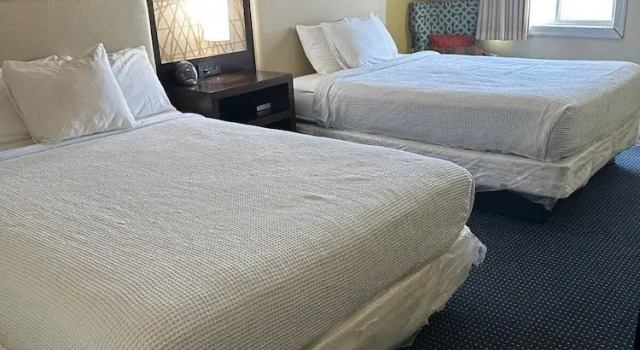 Номер Economy The White House Inn