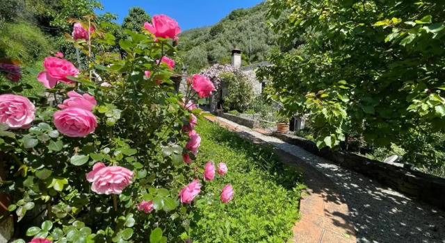 Il frantoio di Luna - Levanto, 5 Terre