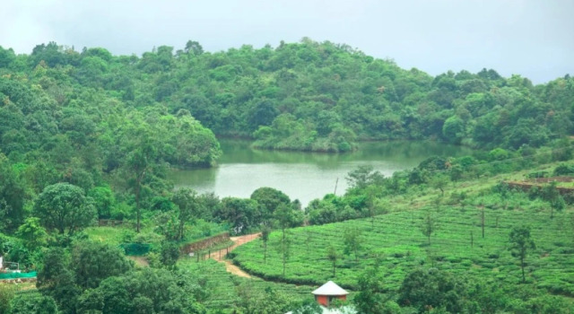 Ann Homestay