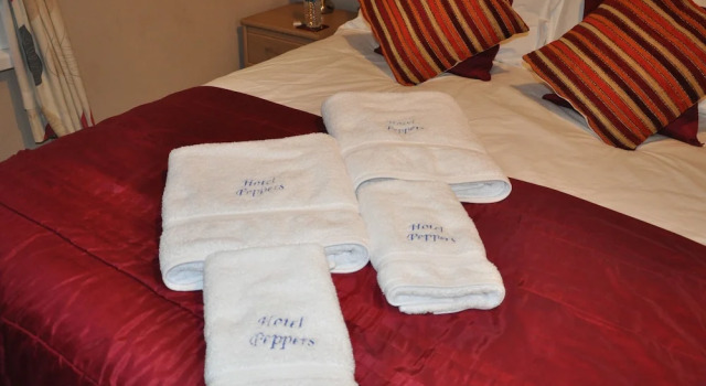 Economy kamer Hotel Peppers