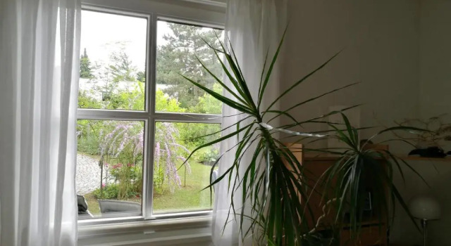 Номер Standard Apartment HAUS MERLIN am Böckelsberg