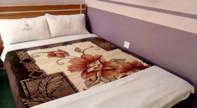 Номер Standard Coconut Palm Hotel