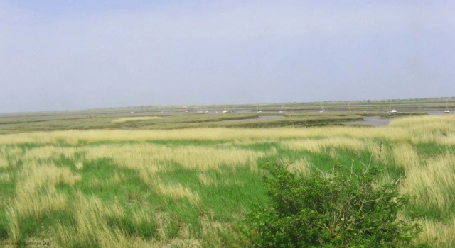 Island House
