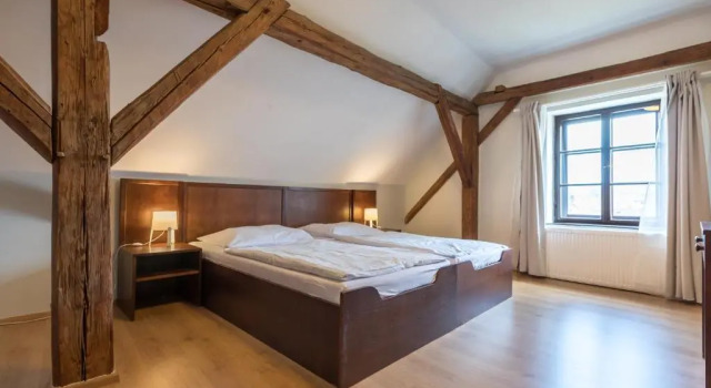 Двухместный номер Standard Hotel Celerin