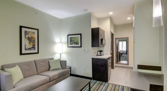 Двухместный люкс Holiday Inn Express & Suites Carrizo Springs by IHG