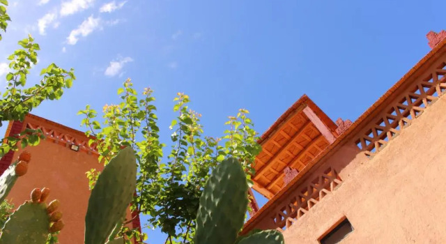Riad Gabsi Dades