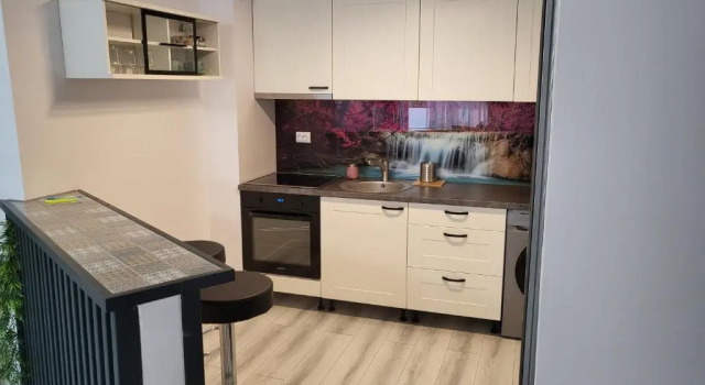Апартаменты c 1 комнатой Dacrilo Apartments Cluj-Napoca 11