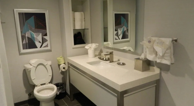 Люкс c 1 комнатой Hotel Indigo Harrisburg - Hershey by IHG