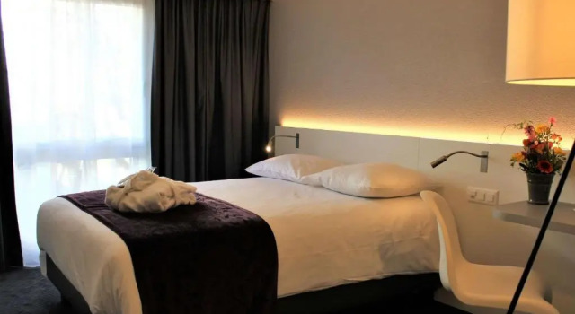 Одноместный номер Classic Mercure Biel
