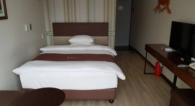 Двухместный номер Business Homers Hotel