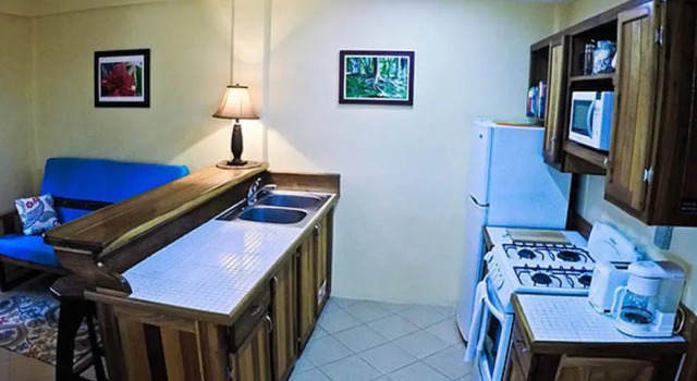 Двухместные апартаменты Economy Dolce Cabana Waterfront Suites