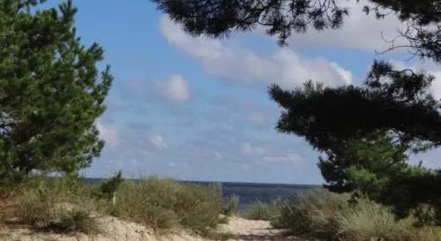 Fewo Fiete_SCHOe, Book Hotel Trassenheide Usedom