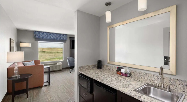 Номер Standard Hampton Inn & Suites Douglas