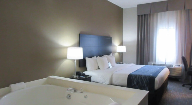 Двухместный номер Standard Comfort Inn Port Huron