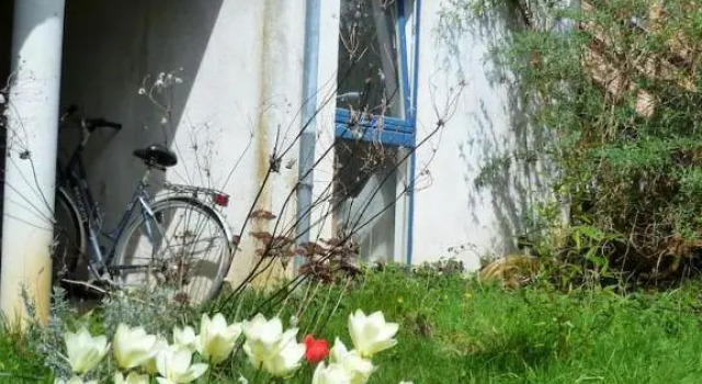 Appartement 2 chambres au calme et au vert, à Louvain-la-Neuve, Réserver Appartement Ottignies-Louvain-la-Neuve Province du Brabant wallon
