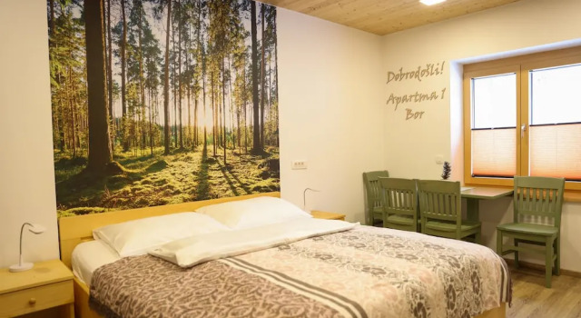 Апартаменты Comfort House Storz