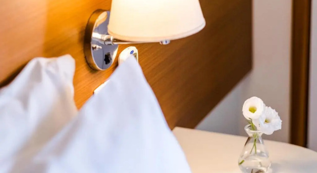 Номер Deluxe Vitoria Regia Hotel Bauru