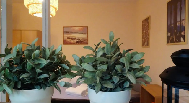 Апартаменты Apartments Oršula
