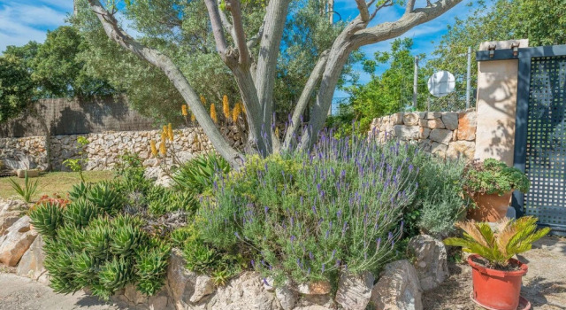 ES Nivet, Book Vacation Home Sant Llorenç des Cardassar Majorca