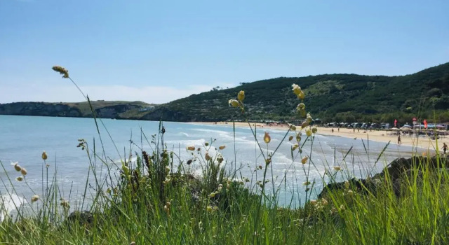 Il gabbiano, attico con terrazzo vista mare