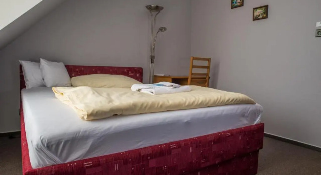 Двухместный номер Standard Hotel u Crlíků