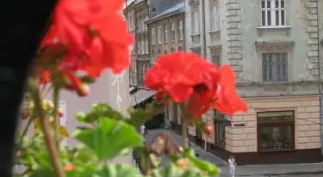 Old Town Apartments, Забронировать Апартаменты/квартира Апартаменты Львова, рядом с Первый украинский театр для детей и юношества, Апартаменты/квартира
