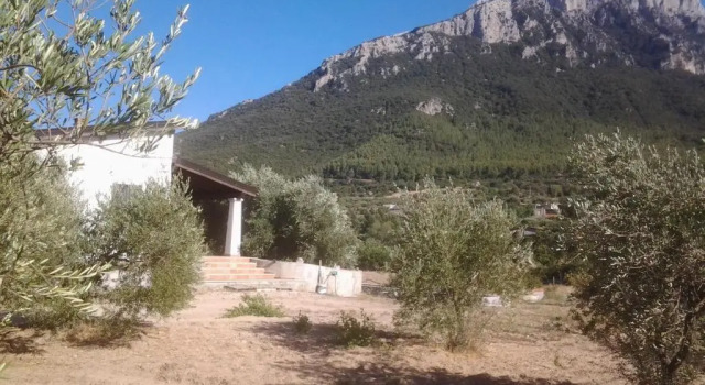 Коттедж Casa Corofulu Oliena - IUN P2139