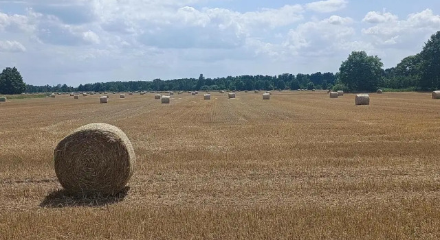 Апартаменты Sommerwiese