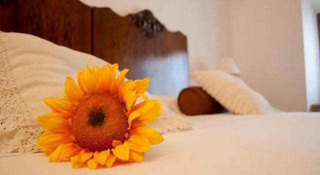 Номер Economy Boutique Hotel Corte Malaspina