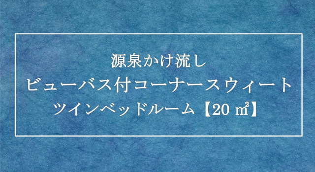 Двухместный номер Standard Kinugawa Plaza Hotel