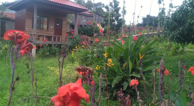 Бунгало FamilyHouse & Trekking