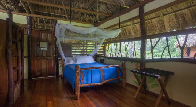 Deluxe værelse Cotton Tree Lodge