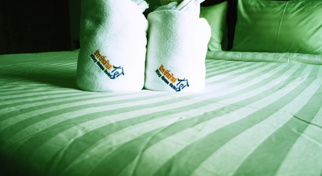 Двухместный номер Standard Ritzy House Hotel