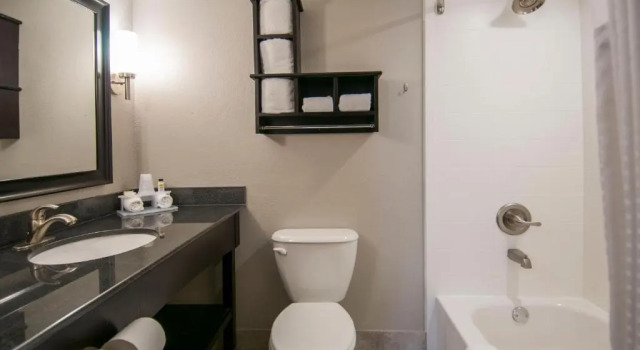 Номер Standard Holiday Inn Express & Suites Jackson Downtown - Coliseum by IHG