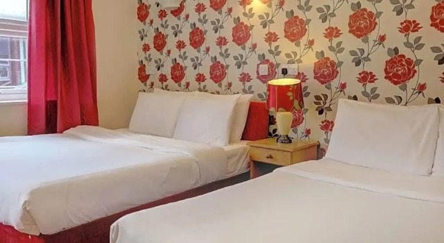 Трёхместный номер Standard Baylis Park Hotel