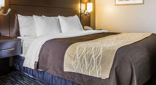 Standard- dobbelt værelse Quality Inn Dayton North - Vandalia