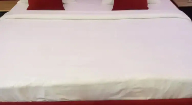 Номер Deluxe Ovic Hotel