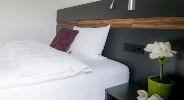 Одноместный номер Standard Hotel Campo