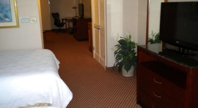 Четырёхместный люкс c 1 комнатой Hilton Garden Inn Williamsburg